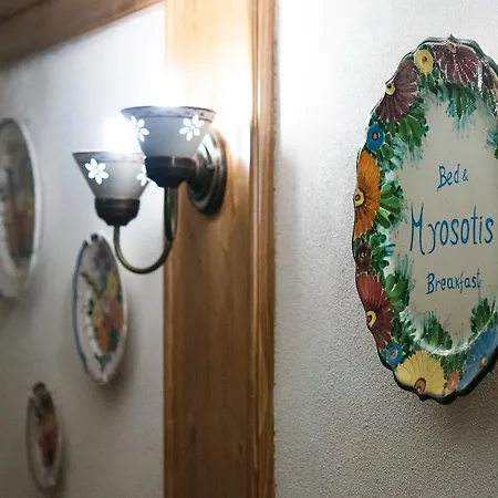 Myosotis פסקאסרולי