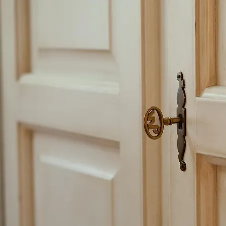 Myosotis פסקאסרולי