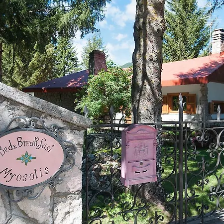 לינה וארוחת בוקר Myosotis פסקאסרולי