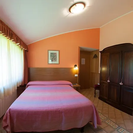 Myosotis פסקאסרולי