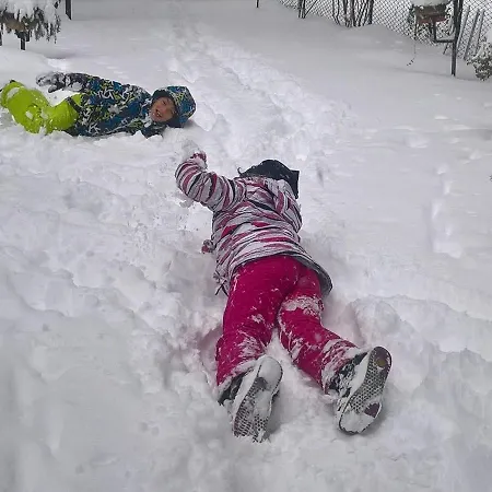 Myosotis לינה וארוחת בוקר פסקאסרולי