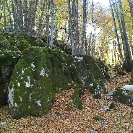 Myosotis לינה וארוחת בוקר *