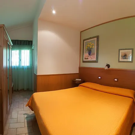 Myosotis * פסקאסרולי