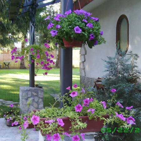 לינה וארוחת בוקר Myosotis פסקאסרולי