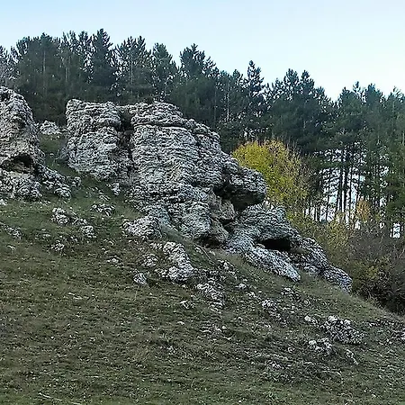 Myosotis Pescasseroli