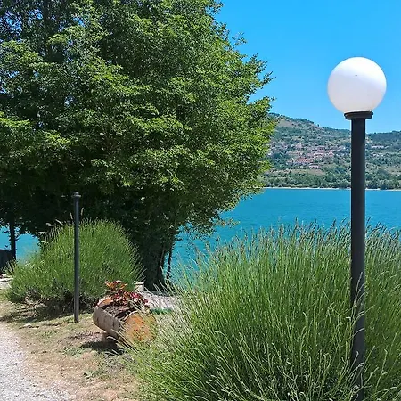 Myosotis לינה וארוחת בוקר פסקאסרולי