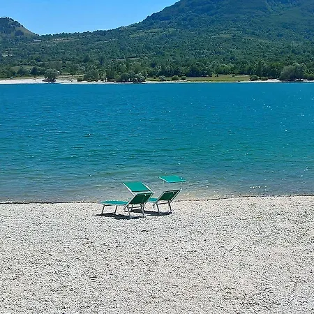 Myosotis פסקאסרולי