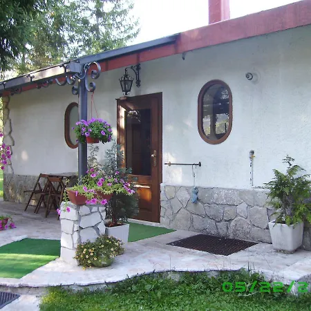 לינה וארוחת בוקר Myosotis