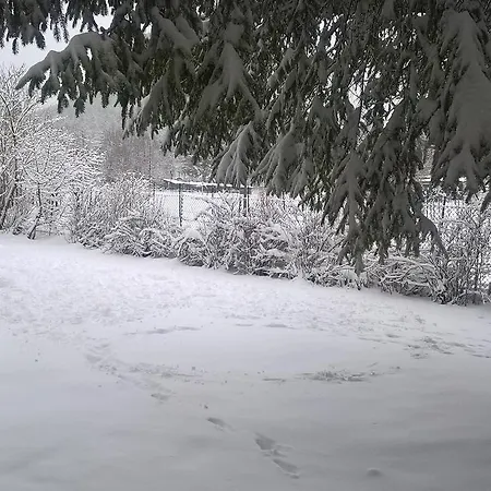 לינה וארוחת בוקר Myosotis *