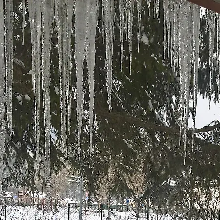 לינה וארוחת בוקר Myosotis פסקאסרולי