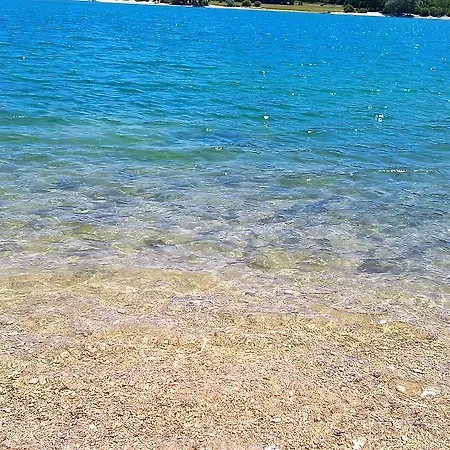 לינה וארוחת בוקר Myosotis