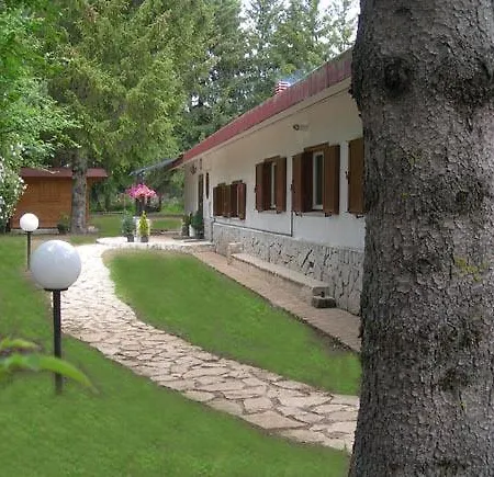 Myosotis * פסקאסרולי