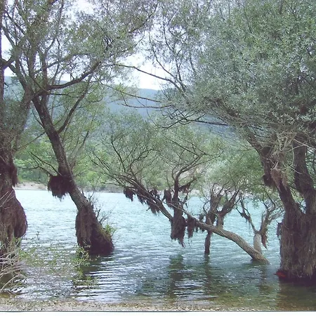 Frühstückspension Myosotis Pescasseroli