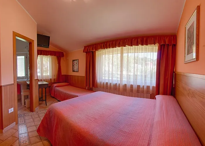 Myosotis Отель типа 