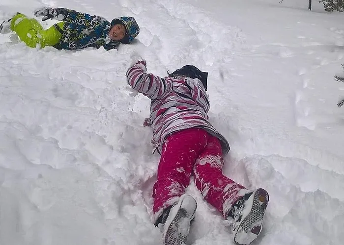 Myosotis Отель типа 