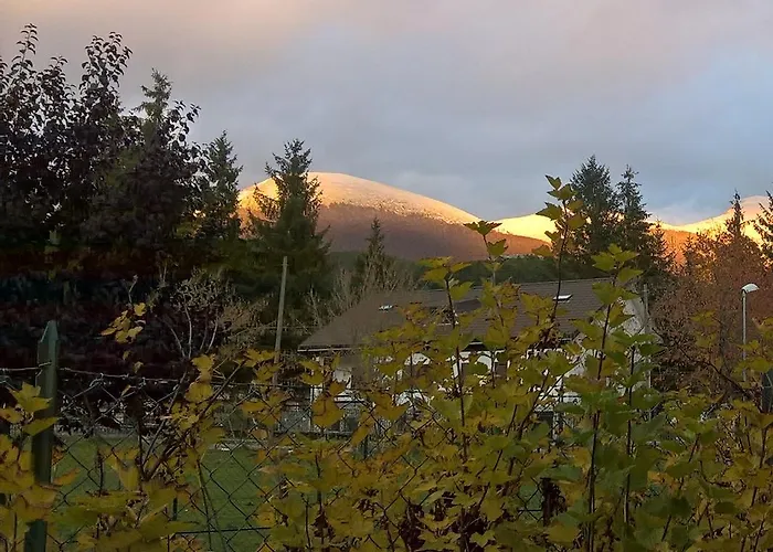 Myosotis * Пескассероли