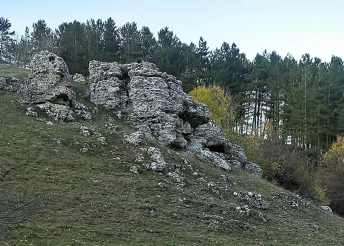 Myosotis Пескассероли