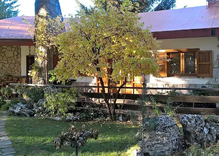 Myosotis Отель типа 