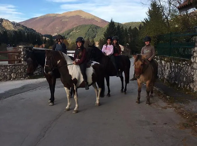 Myosotis * Пескассероли