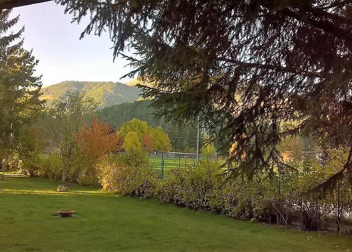 Myosotis Отель типа 