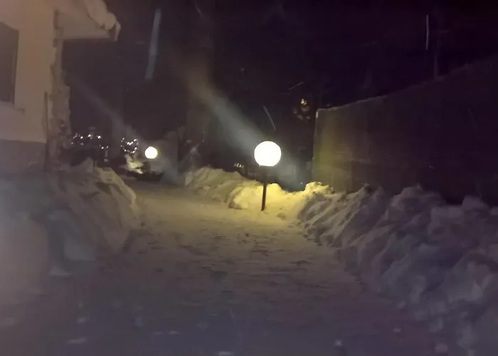 Myosotis Пескассероли