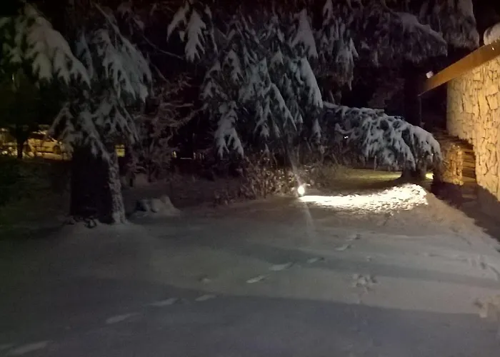 Myosotis Пескассероли