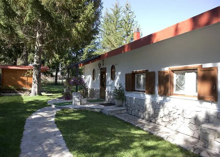 Myosotis Отель типа 